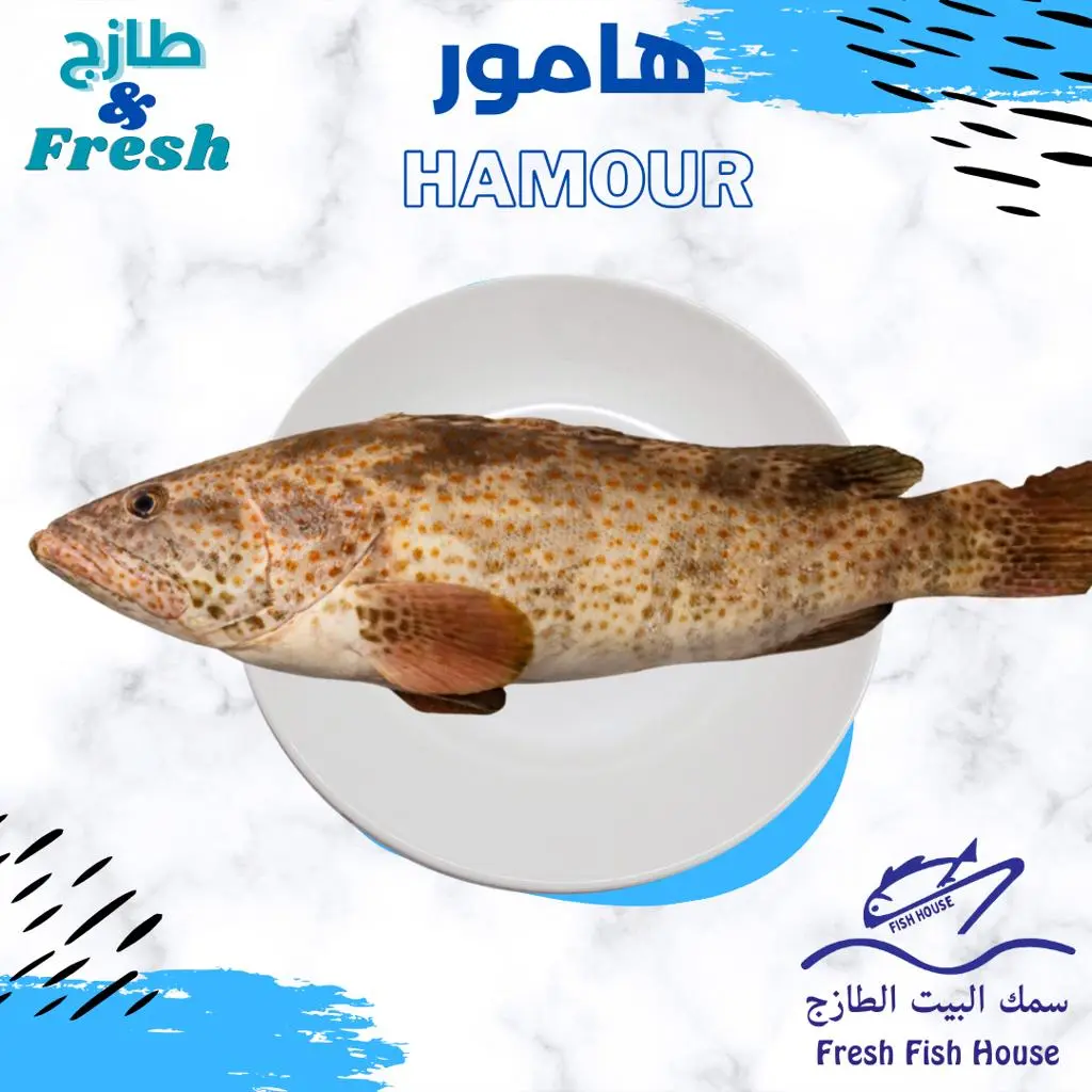 وجبة سمك هامور